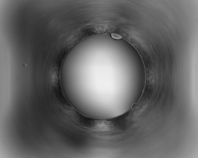 X0000096220226200801181457