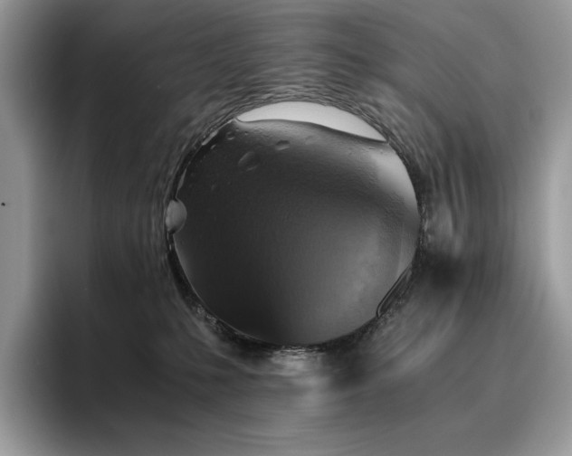 X0000096220231200801181457
