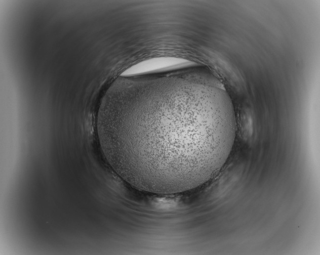 X0000096220232200801181457