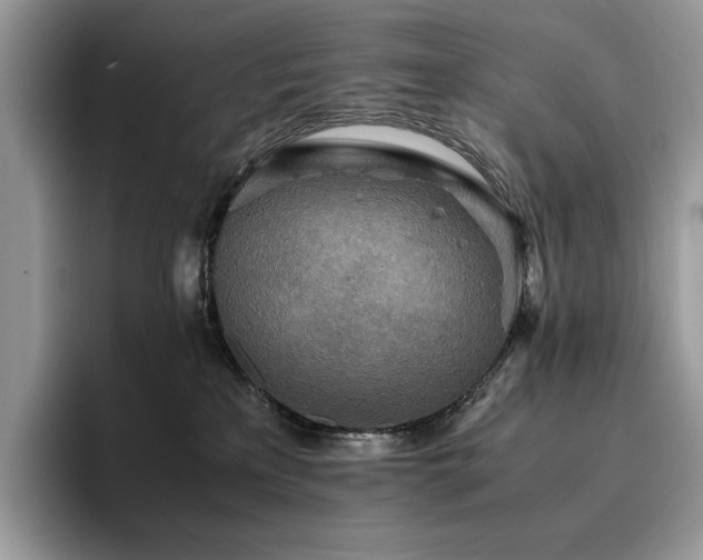 X0000096220233200801181457