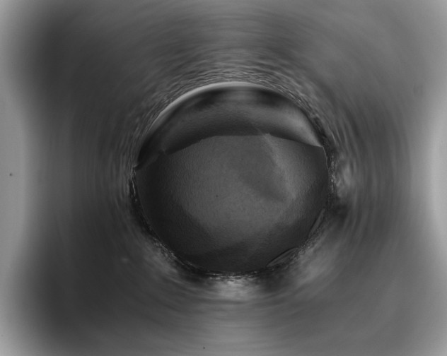 X0000096220235200801181457