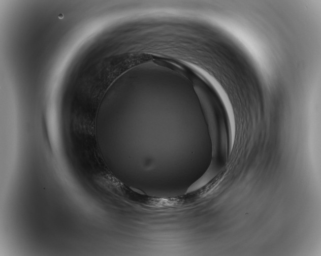 X0000096220239200801181457