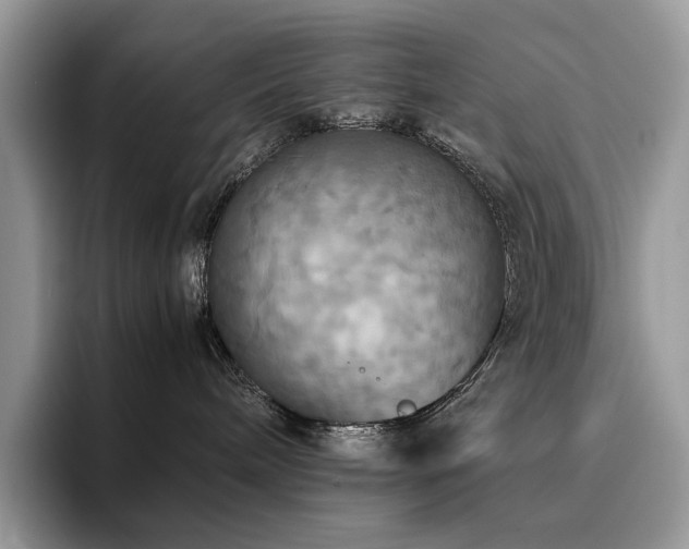 X0000096220240200801181457