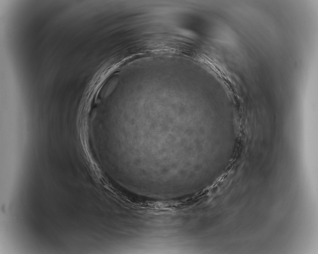 X0000096220241200801181456