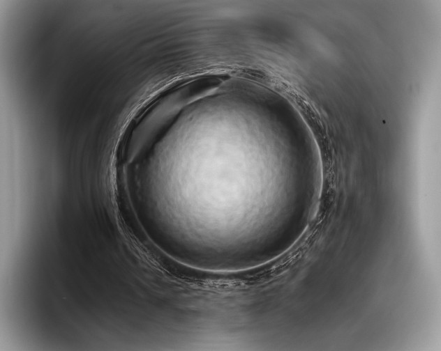 X0000096220242200801181456