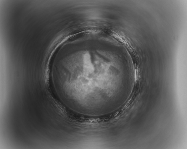 X0000096220243200801181456
