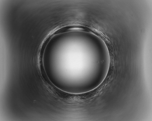 X0000096220244200801181456