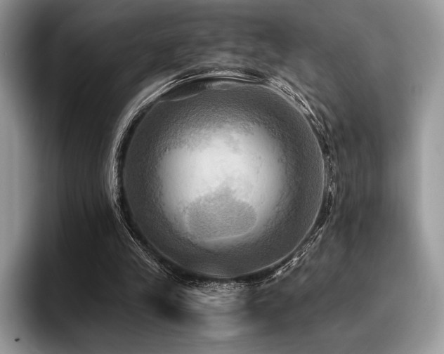 X0000096220245200801181456