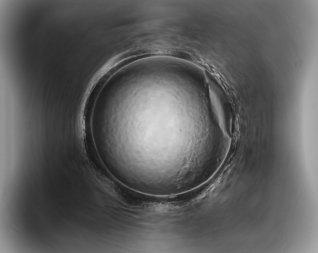 X0000096220246200801181456