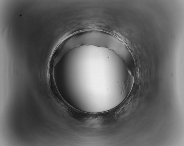 X0000096220248200801181456