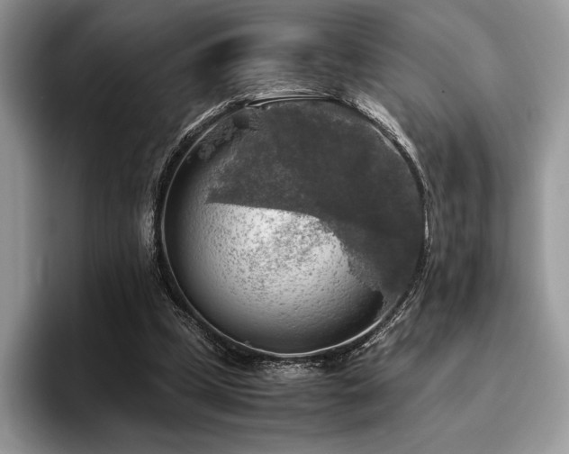 X0000096220249200801181456
