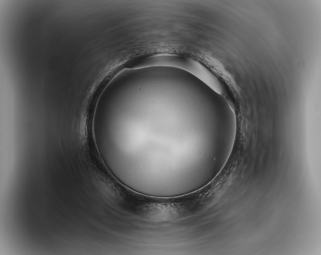 X0000096220250200801181456