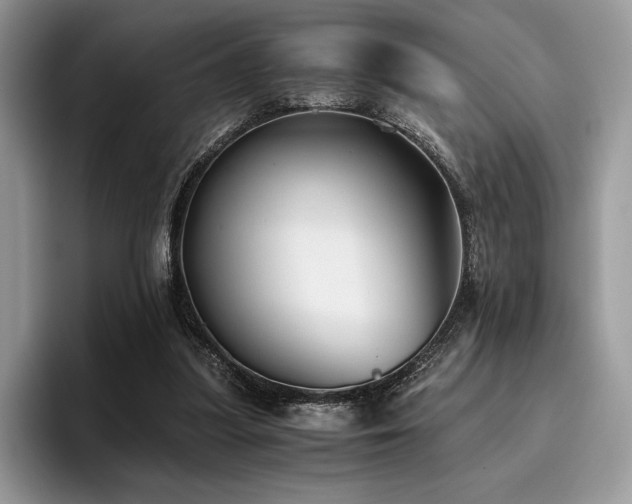 X0000096220251200801181456