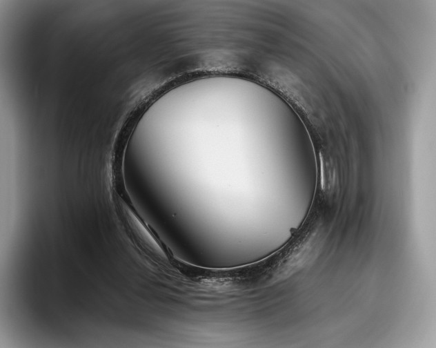 X0000096220252200801181456