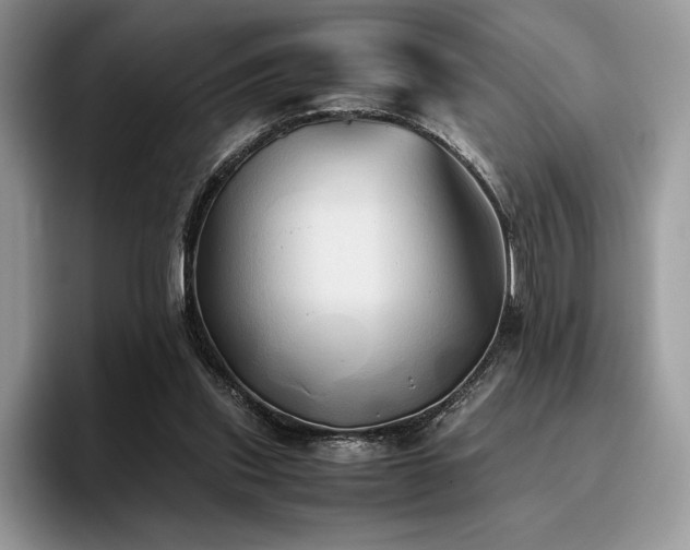 X0000096220253200801181456