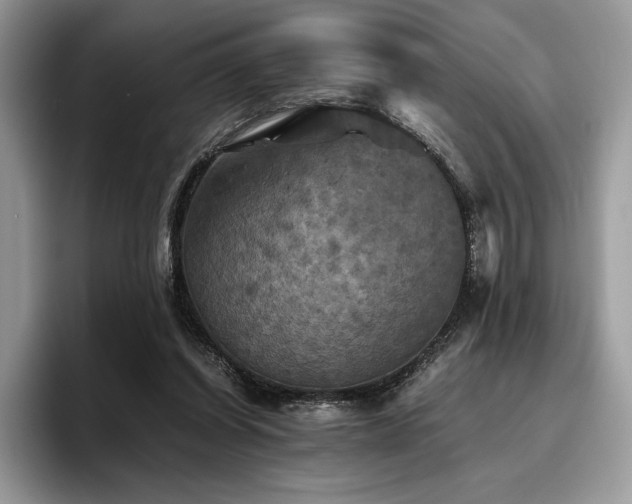 X0000096220254200801181456