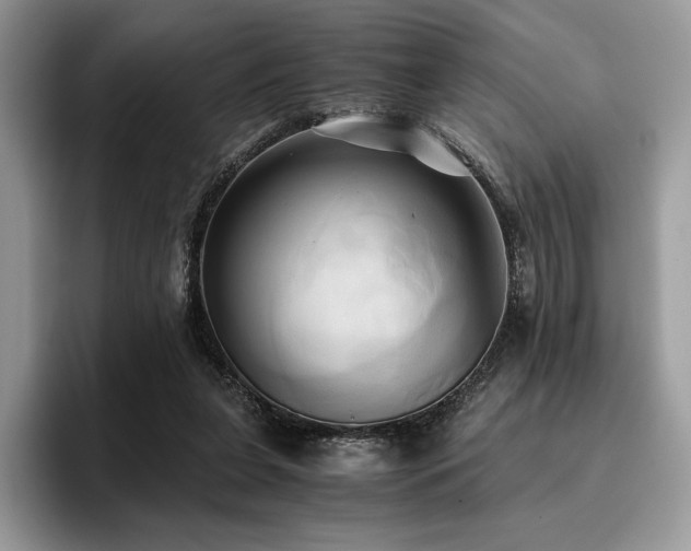 X0000096220255200801181456