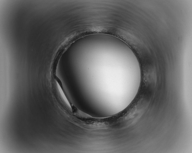 X0000096220256200801181456