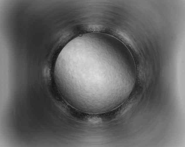 X0000096220258200801181456