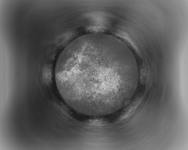 X0000096220259200801181456