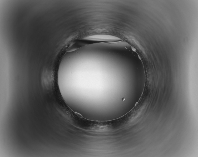 X0000096220260200801181456
