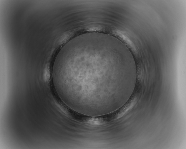 X0000096220261200801181456