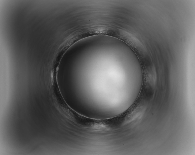 X0000096220262200801181456