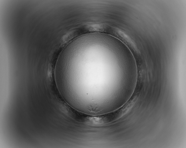 X0000096220265200801181456