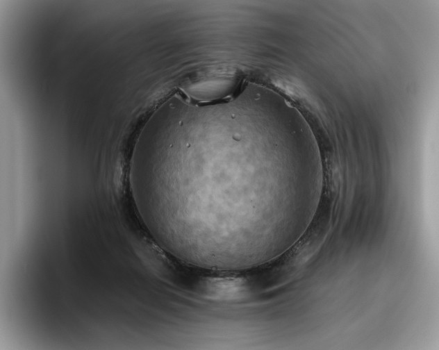 X0000096220266200801181456