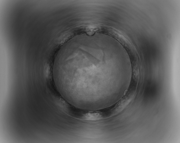 X0000096220270200801181456