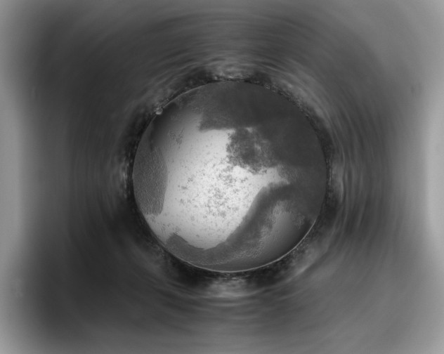 X0000096220271200801181456