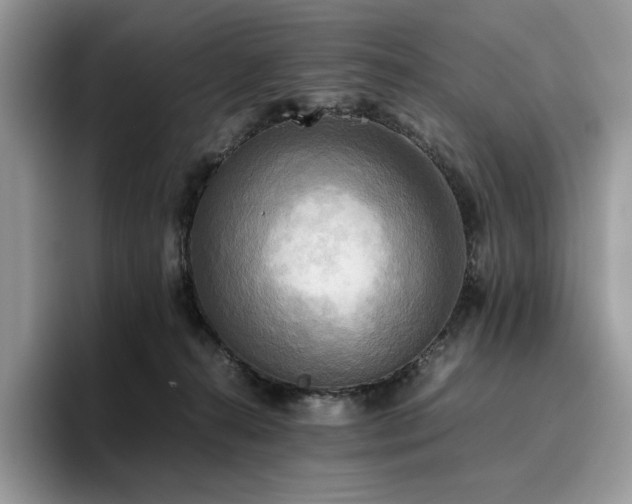 X0000096220272200801181456
