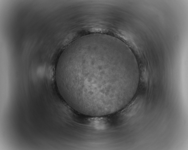 X0000096220273200801181456