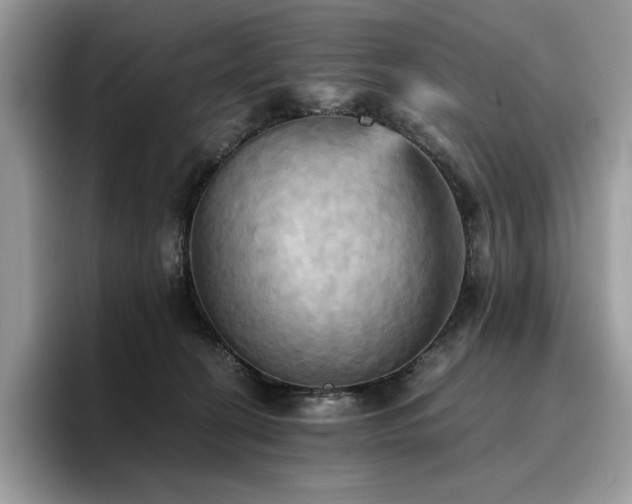X0000096220274200801181456