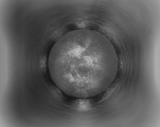 X0000096220275200801181456