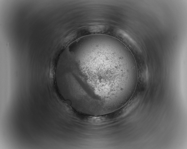 X0000096220277200801181456