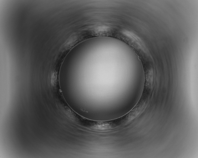 X0000096220278200801181456
