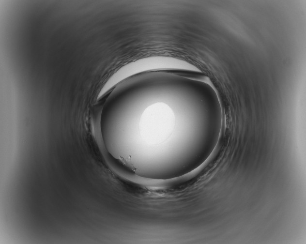 X0000096220280200801181457