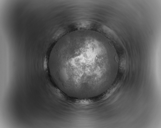 X0000096220282200801181457