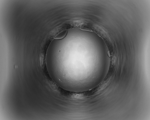 X0000096220283200801181457