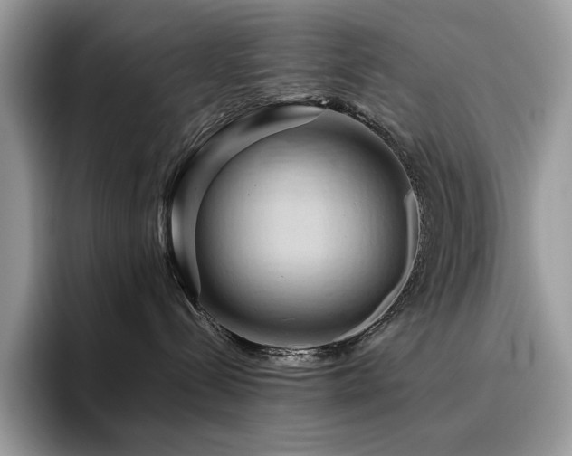 X0000096220288200801181457