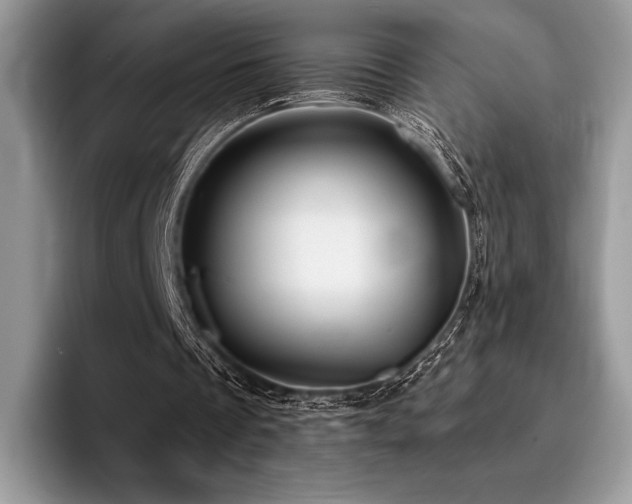 X0000096220289200801181456