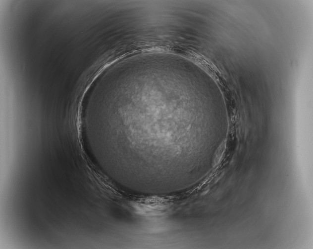 X0000096220290200801181456