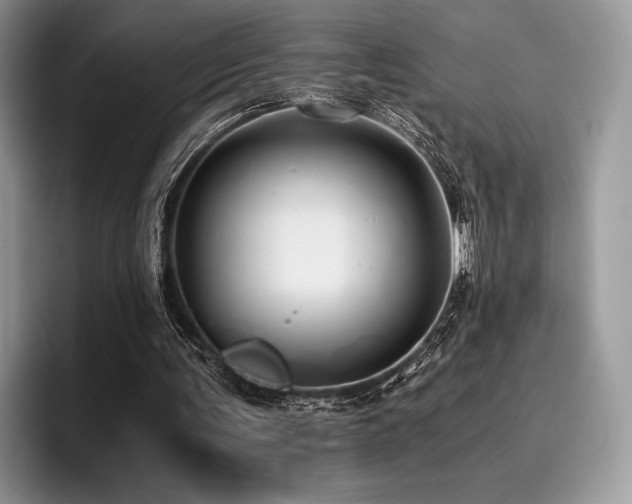 X0000096220291200801181456
