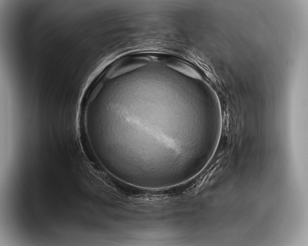 X0000096220292200801181456