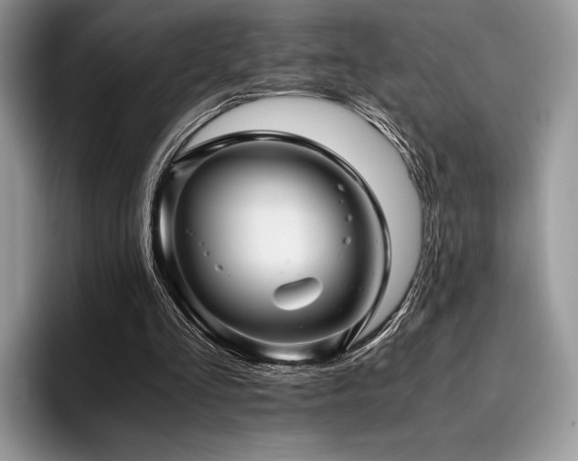 X0000096220293200801181456