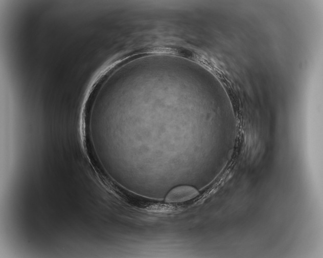 X0000096220294200801181456