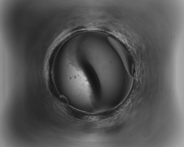 X0000096220295200801181456