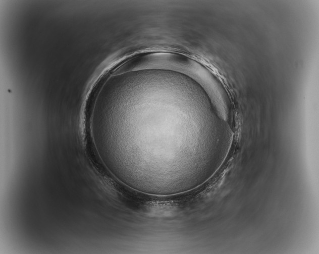 X0000096220296200801181456