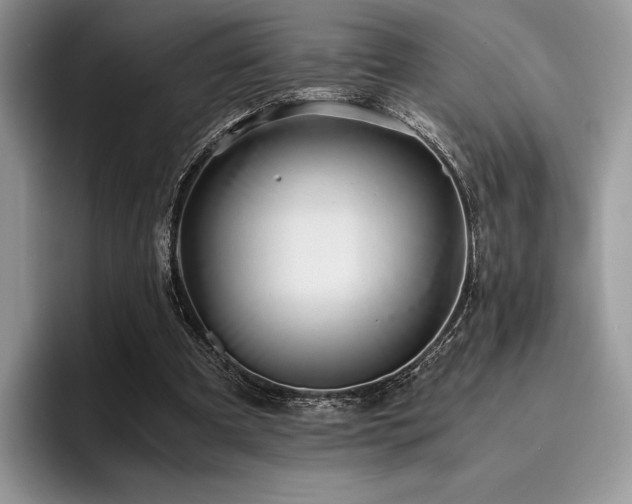 X0000096220297200801181456